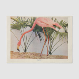 Flamingo's Bird Ephemera Decoupage Tissue Paper Tissuepapier