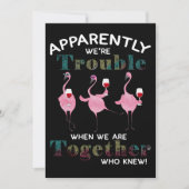 Flamingos | Blijkbaar zijn we problematische vlami Feestdagenkaart (Voorkant)