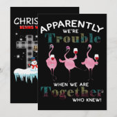 Flamingos | Blijkbaar zijn we problematische vlami Feestdagenkaart (Voorkant / Achterkant)