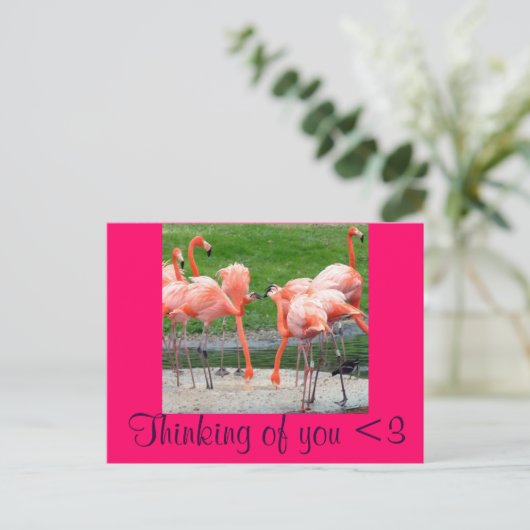 Flamingos Briefkaart (Staand voorkant)