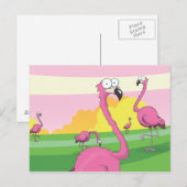flamingos briefkaart (Voorkant / Achterkant)