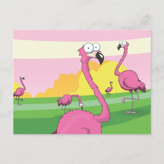 flamingos briefkaart (Voorkant)
