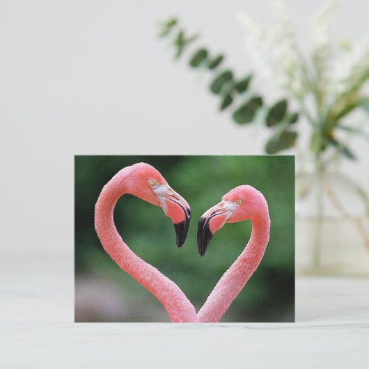 Flamingos briefkaart (Staand voorkant)