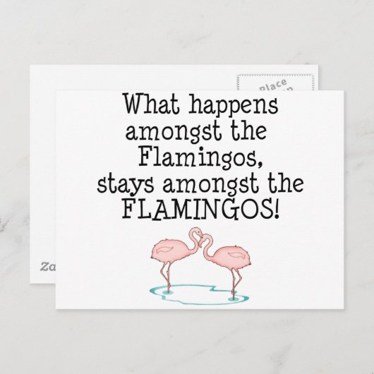 Flamingos Briefkaart (Voorkant / Achterkant)