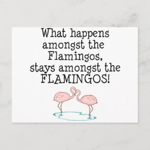 Flamingos Briefkaart