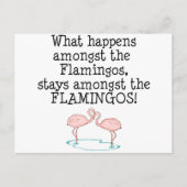 Flamingos Briefkaart (Voorkant)