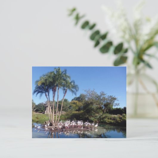 Flamingos Briefkaart (Staand voorkant)
