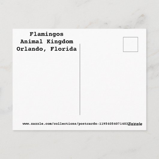 Flamingos Briefkaart (Achterkant)