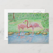 Flamingos Briefkaart (Voorkant / Achterkant)