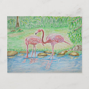 Flamingos Briefkaart