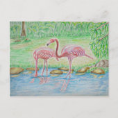 Flamingos Briefkaart (Voorkant)