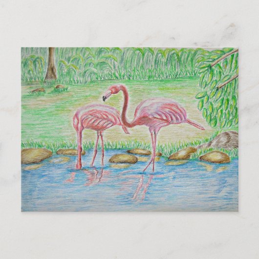 Flamingos Briefkaart (Voorkant)