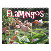Flamingos Calendar Kalender (Hoes)