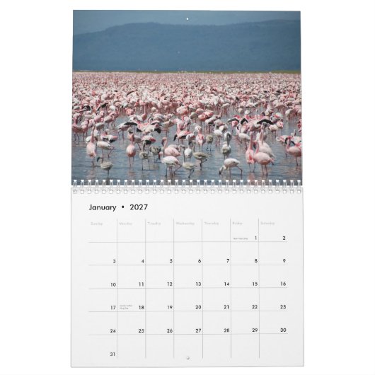Flamingos Calendar Kalender (Jan 2027)