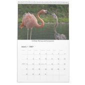 Flamingos Calendar Kalender (Mar 2027)