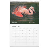 Flamingos Calendar Kalender (Feb 2027)