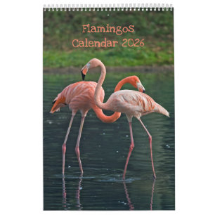 Flamingos Calendar Kalender