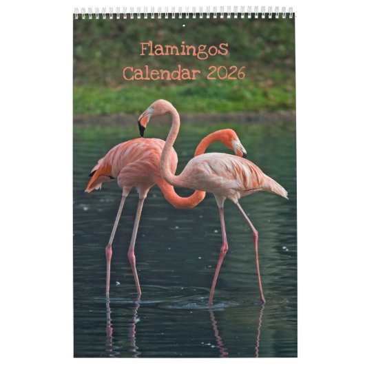 Flamingos Calendar Kalender (Hoes)