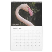 Flamingos Calendar Kalender (Jan 2026)