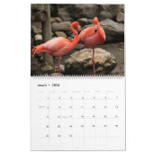 Flamingos Calendar Kalender (Mar 2026)