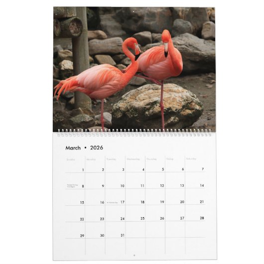 Flamingos Calendar Kalender (Mar 2026)