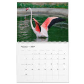 Flamingos Calendar Kalender (Feb 2027)