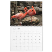 Flamingos Calendar Kalender (Mar 2027)