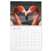 Flamingos Calendar Kalender (Jan 2027)
