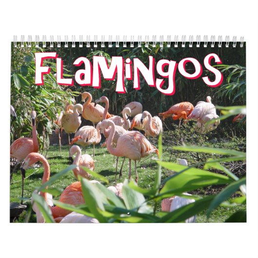 Flamingos Calendar Kalender (Hoes)
