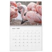 Flamingos Calendar Kalender (Mar 2027)