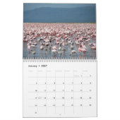 Flamingos Calendar Kalender (Jan 2027)