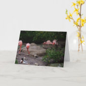 "Flamingos & Duck" Hartelijk dank Kaart (Gele Bloem)