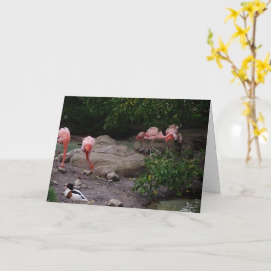"Flamingos & Duck" Hartelijk dank Kaart (Gele Bloem)