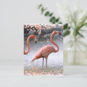 Flamingos en waterval briefkaart (Staand voorkant)