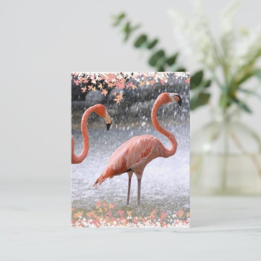 Flamingos en waterval briefkaart (Staand voorkant)