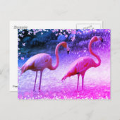 Flamingos en waterval briefkaart (Voorkant / Achterkant)
