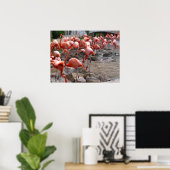 Flamingos Flamingoes Pink Wading Birds Poster (Thuiskantoor)