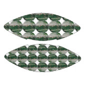 Flamingos-Football American Football (Panelen)