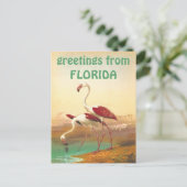 Flamingos-groeten uit Florida Briefkaart (Staand voorkant)