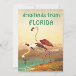  Flamingos-groeten uit Florida Kaart