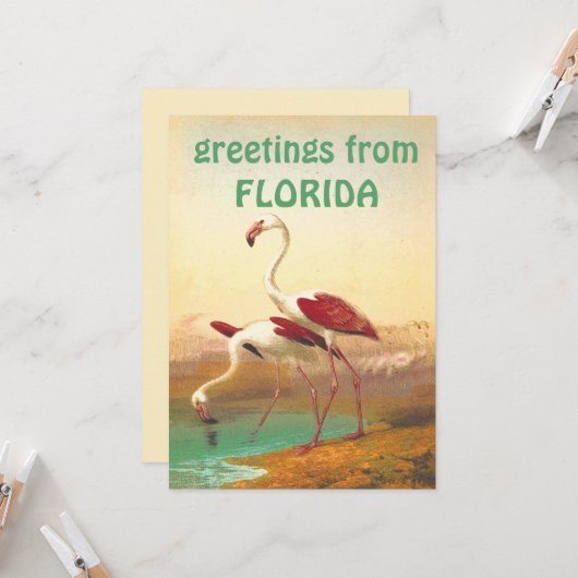  Flamingos-groeten uit Florida Kaart (Voorkant / Achterkant in situ)