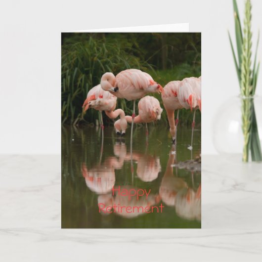 Flamingos Happy Retirement Kaart (Voorkant)