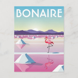 Flamingo's in Bonaire Caribisch Nederland Briefkaart