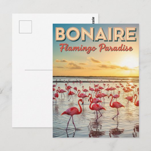 Flamingos in Bonaire Dutch Caribbean Briefkaart (Voorkant / Achterkant)