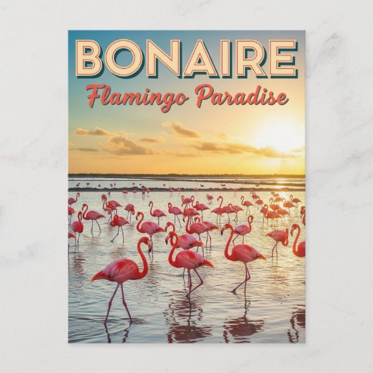 Flamingos in Bonaire Dutch Caribbean Briefkaart (Voorkant)