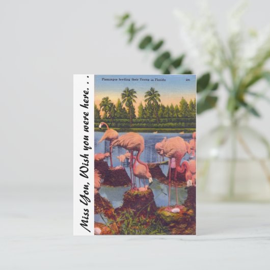 Flamingos in Florida Briefkaart (Staand voorkant)