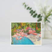 Flamingos in Florida Travel Briefkaart (Staand voorkant)