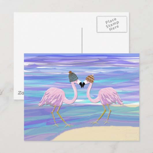 Flamingo's in Gebreide Petten Briefkaart (Voorkant / Achterkant)
