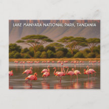 Flamingo's in het Tanzania Lake Manyara National P