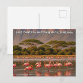 Flamingo's in het Tanzania Lake Manyara National P Briefkaart (Voorkant / Achterkant)